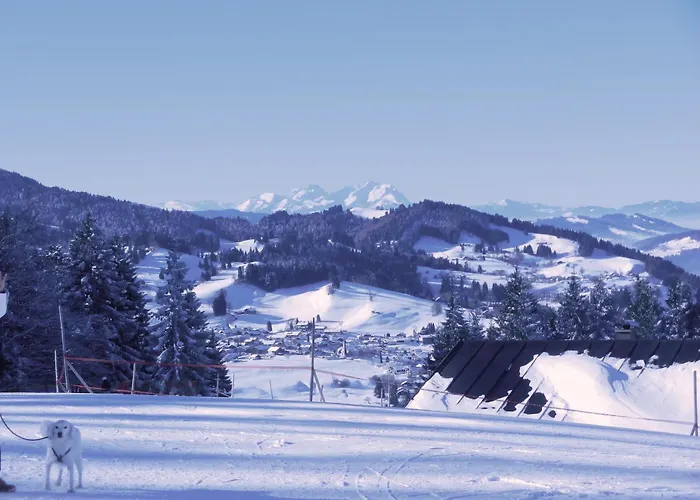 Appartement Bergfrieden
