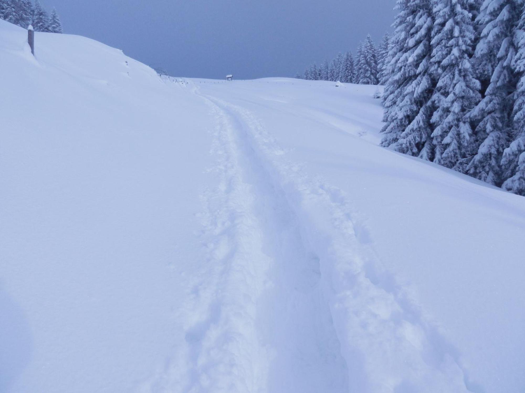 Bergfrieden * Oberstaufen